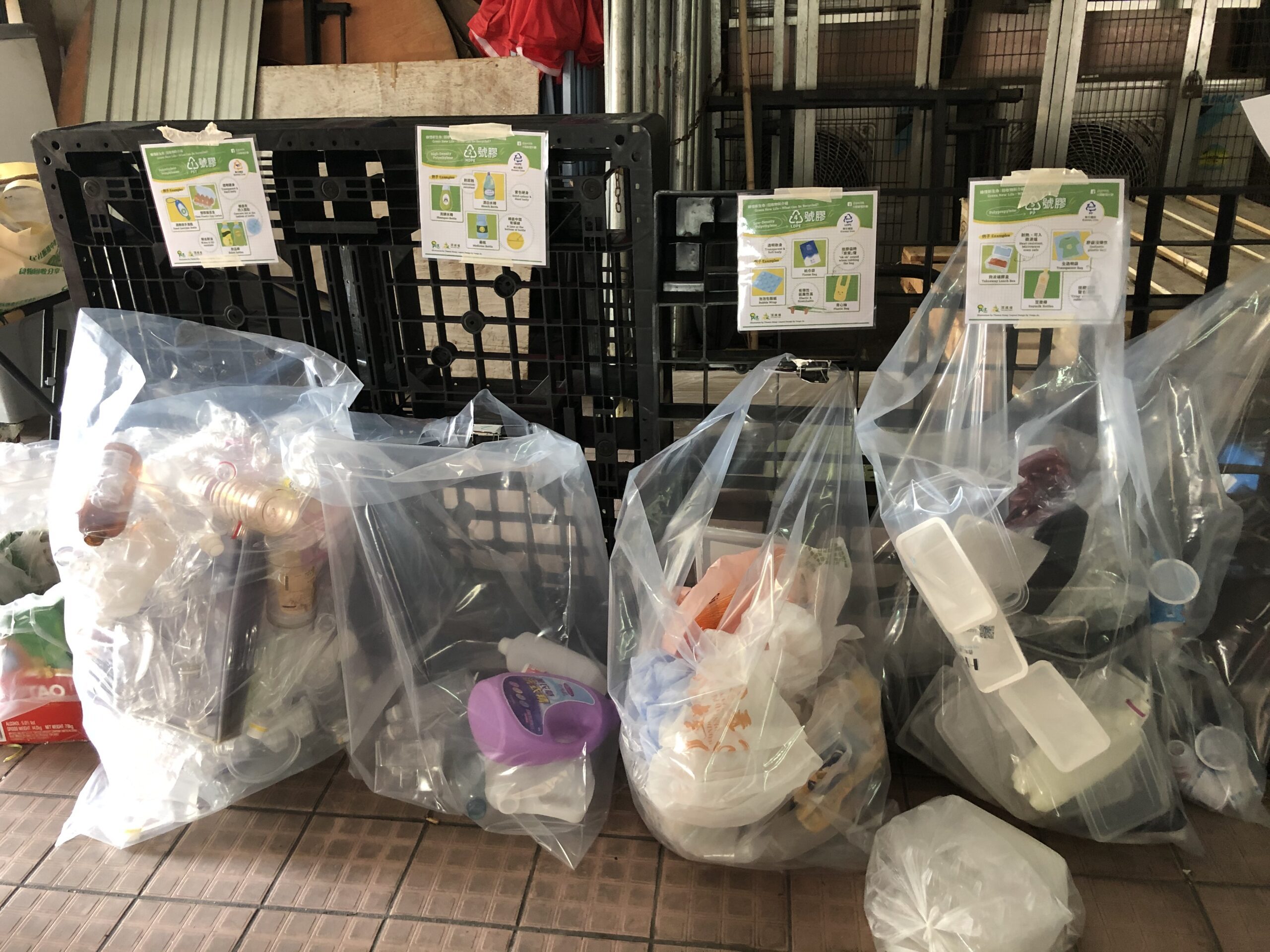 Shek Kip Mei Recycling Waste Sorting