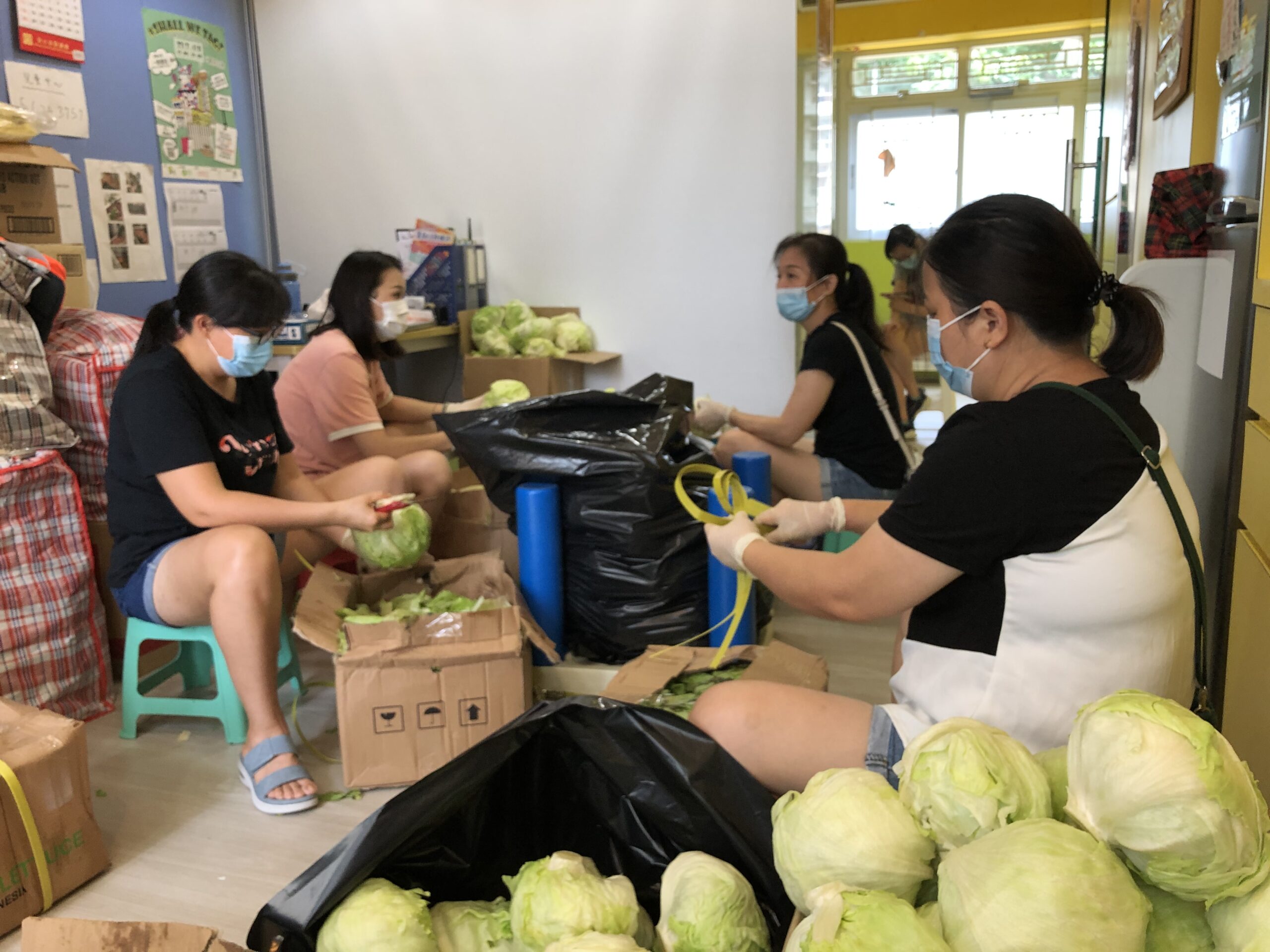 Volunteer activities - Received a donation of lettuce, volunteers assisted in handling and distributing the lettuce